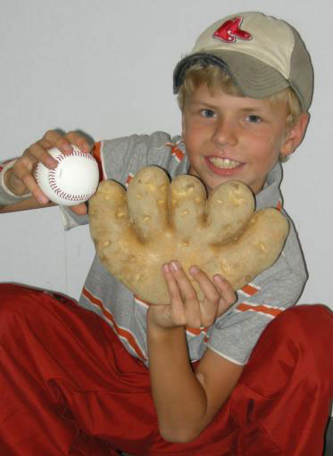 Byron Winslow, nine, of Maine in the US, holds a 3lb Russet potato that grew in the shape of a baseball mitt in 2007. The Maine Potato News said the oddly shaped spud was grown on a farm near where Boston Red Sox legend and baseball Hall of Famer Carl Yastrzemski once grew potatoes with his uncle. 
