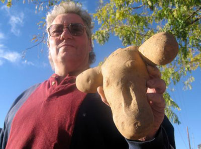 James Shurtz holds "Russ, the Bovine Potato", a cow-shaped spud he unearthed at an Idaho farm in the US in 2006. 
