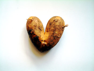 Pomme de coeur? A love-ly potato from Riverford Organic, sent in by Graham Turner.