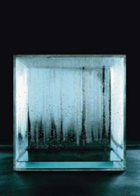 Hans Haacke Condensation Cube 1963