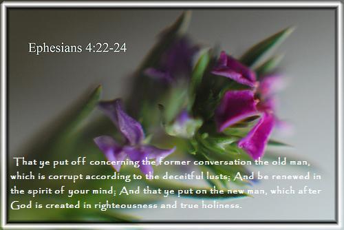 Eph4_22-24script.jpg picture by DailyBreadThoughts