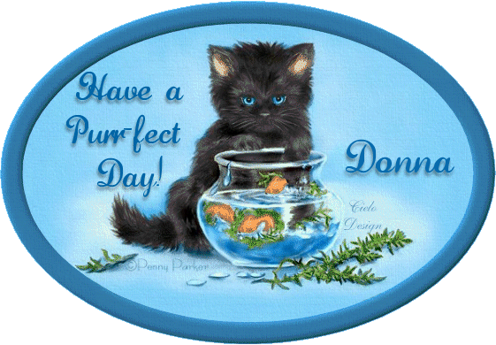PurrfectDay-Donna.gif picture by peachesdc