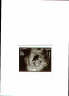 Posted by Butterfly on 7/6/2001, 27KB
Here is my grandbaby's very first photograph......I just wnated to share it with you all.

Love  Butterfly
xxxxxxxxxxx