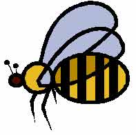 You are a Bumble Bee