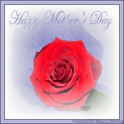 Red Rose Mothers Day