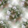 Posted by BuzyStitching on 7/26/2008, 5KB