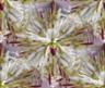 Posted by BuzyStitching on 7/26/2008, 7KB