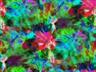 Posted by BuzyStitching on 7/26/2008, 7KB