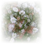 Posted by BuzyStitching on 7/26/2008, 6KB