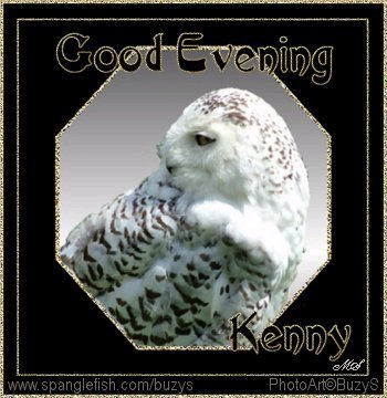 GEveningOwl.jpg picture by DisabledKenny1