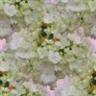 Posted by BuzyStitching on 7/26/2008, 5KB