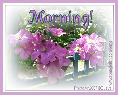 morningB