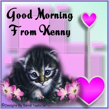 kittyMorning.jpg picture by DisabledKenny1
