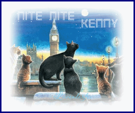 londonnightCATSkenny.gif picture by DisabledKenny1