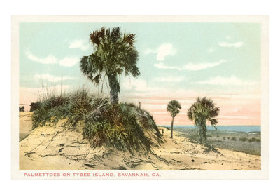 Palmettoes, Tybee Island, Savannah, Georgia Art Print