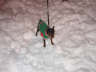 Posted by Benji on 4/17/2002, 28KB
This was my min pins first snow storm, he loved it!