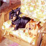 Posted by bengalcat on 6/7/2001, 23KB
Half Grand Penny & Cato's Dust Buster Brown, (mom & dad), lounge at home.