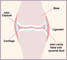 Normal Joint Illustration