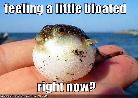 feeling a little bloated  right now?