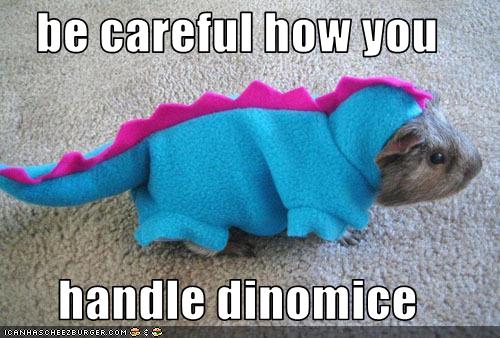 be careful how you  handle dinomice