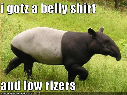i gotz a belly shirt  and low rizers