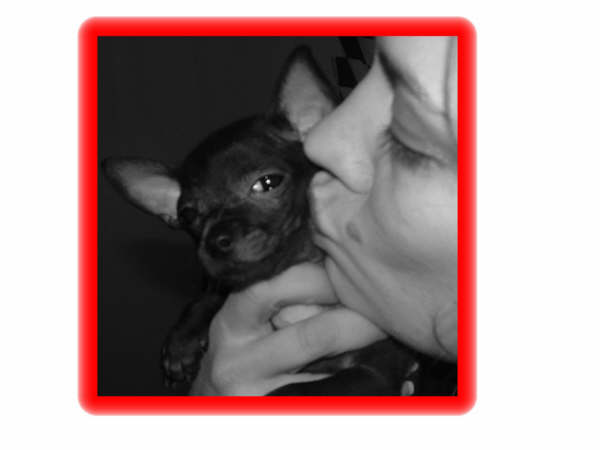 Posted by ☼TўDўΒţŕFlў?on 1/2/2006, 26KB