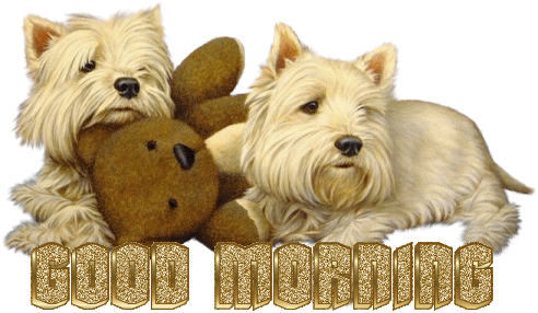 Posted by JayeRobbinTemp1 on 10/26/2005, 185KB