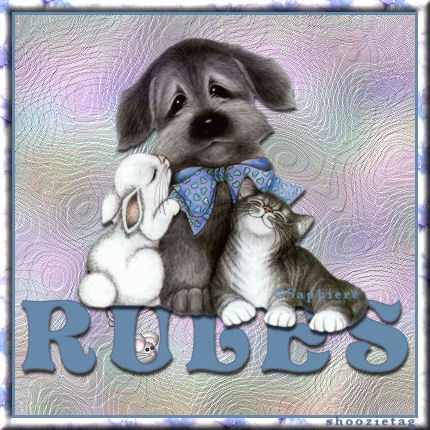 SaphiereDogRULES.jpg picture by 24champ