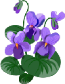 Veilchenb.gif picture by 24champ