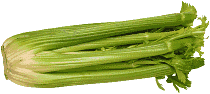 besttips-celery.gif (7310 bytes)