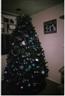 Posted by Sainted1 on 5/10/2008, 35KB
Our new tree and decorations both. We thought teal and purple would be neat and we love it.