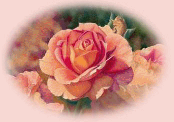 mday15rose0picturevera.gif