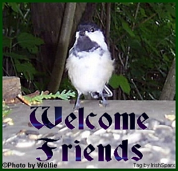 ChickadeesWFSparx.jpg picture by IrishSparx2008