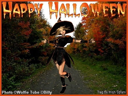 FallColorsHH.jpg picture by IrishSparx2008