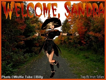 FallColorsSparxSandra.jpg picture by IrishSparx2008
