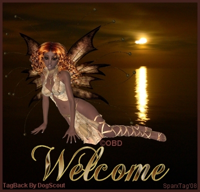 OBDSparxWelcome.jpg picture by IrishSparx2008