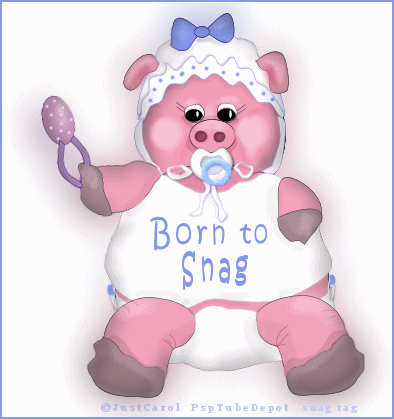borntosnagbabypig.gif picture by IrishSparx2008