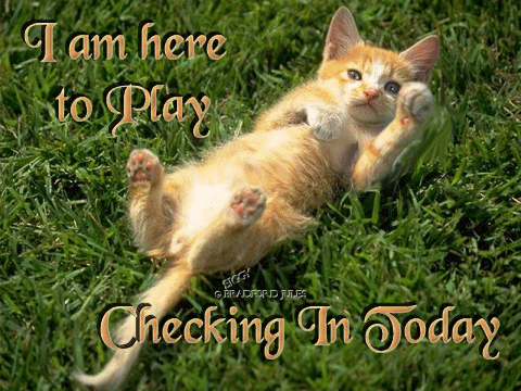 mnop202834229.gif picture by Brenda4241962