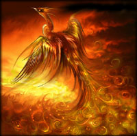 The Phoenix