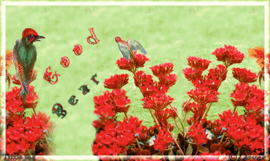 10BirdiesTBear.gif picture by Horsefeatherstags