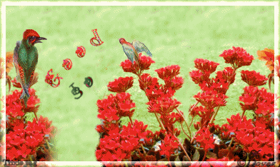 10BirdiesTJo.gif picture by Horsefeatherstags