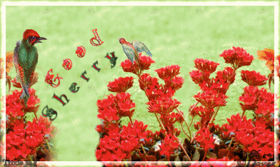11BirdiesTSherry.gif picture by Horsefeatherstags