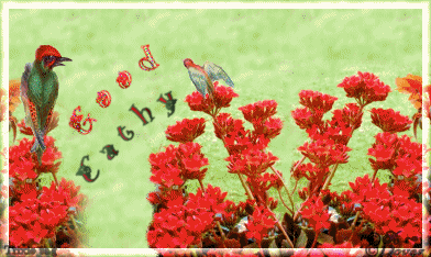 1BirdiesTCathy.gif picture by Horsefeatherstags