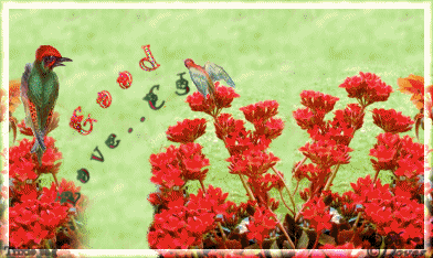 1BirdiesTLoveCJ.gif picture by Horsefeatherstags