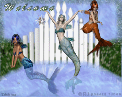 1DmermaidTWelcome.gif picture by Horsefeatherstags
