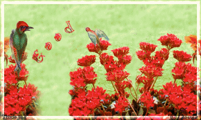 RedBirdsGM.gif picture by Horsefeatherstags