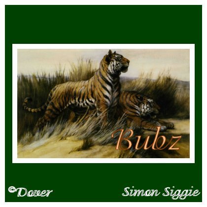 bubz.jpg picture by LJTManager