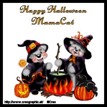 happyhalloweenjpgMAMACAT.jpg picture by MarshaB01