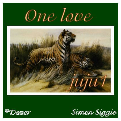tiger1juju1.jpg picture by LJTManager
