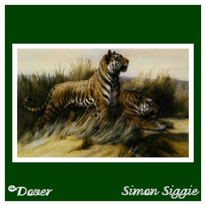 tigerblank.jpg picture by LJTManager